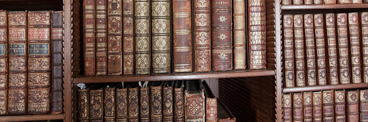 Imagen de una librería