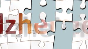Piezas de un puzzle