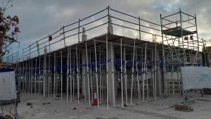 Foto14: Nov 2024 - Estructura (Alto Arenal)