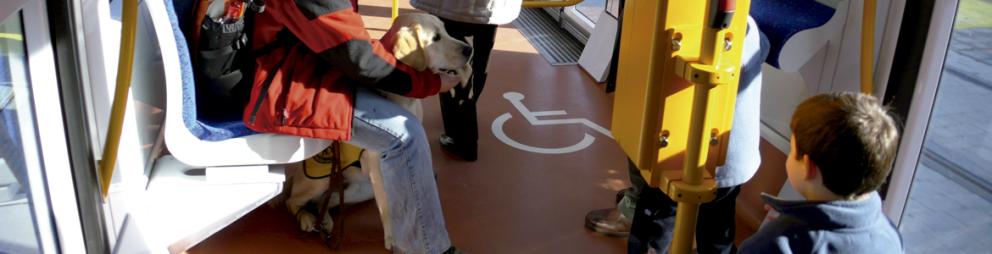 Accesibilidad en Metro Ligero Persona con perro guía en coche de Metro Ligero
